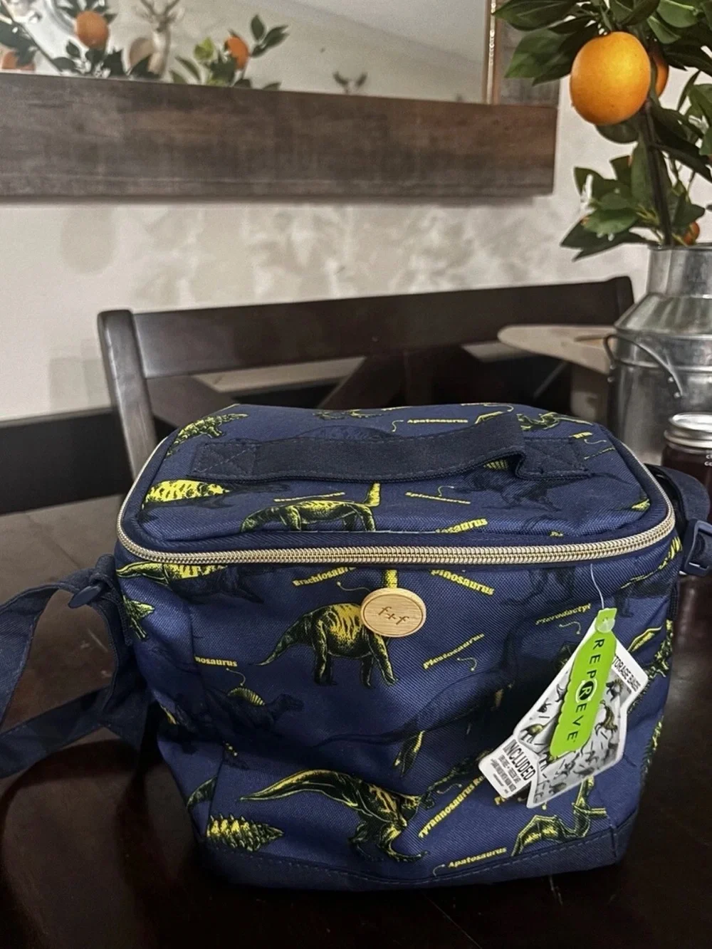 Fit & Fresh Navy Dinosaur Linch Tote 10x10 reusable sandwich bags
